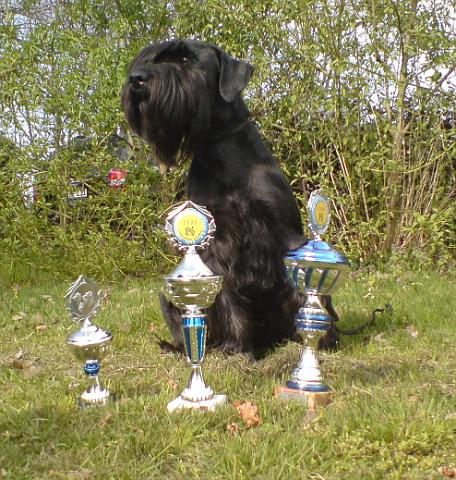 Champion Miro.jpg